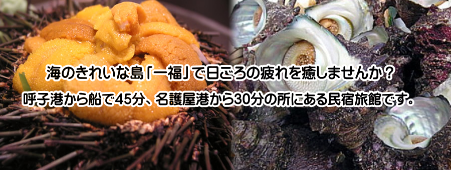 唐津市,民宿旅館,旅館,民宿,宿泊,長期滞在,釣り,一福